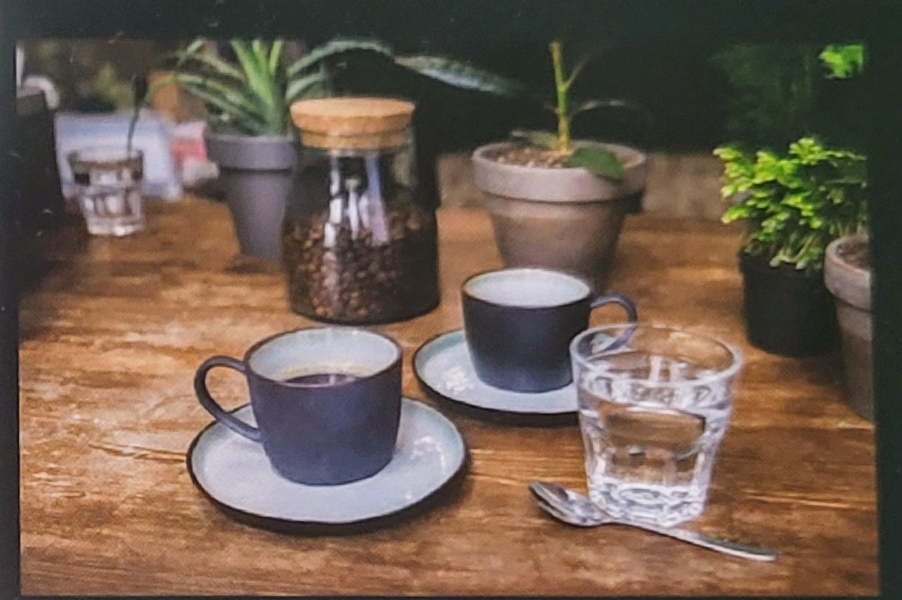 Two dark ceramic coffee cups on plates sit beside a glass of water and a spoon, surrounded by potted plants and coffee beans in a jar.